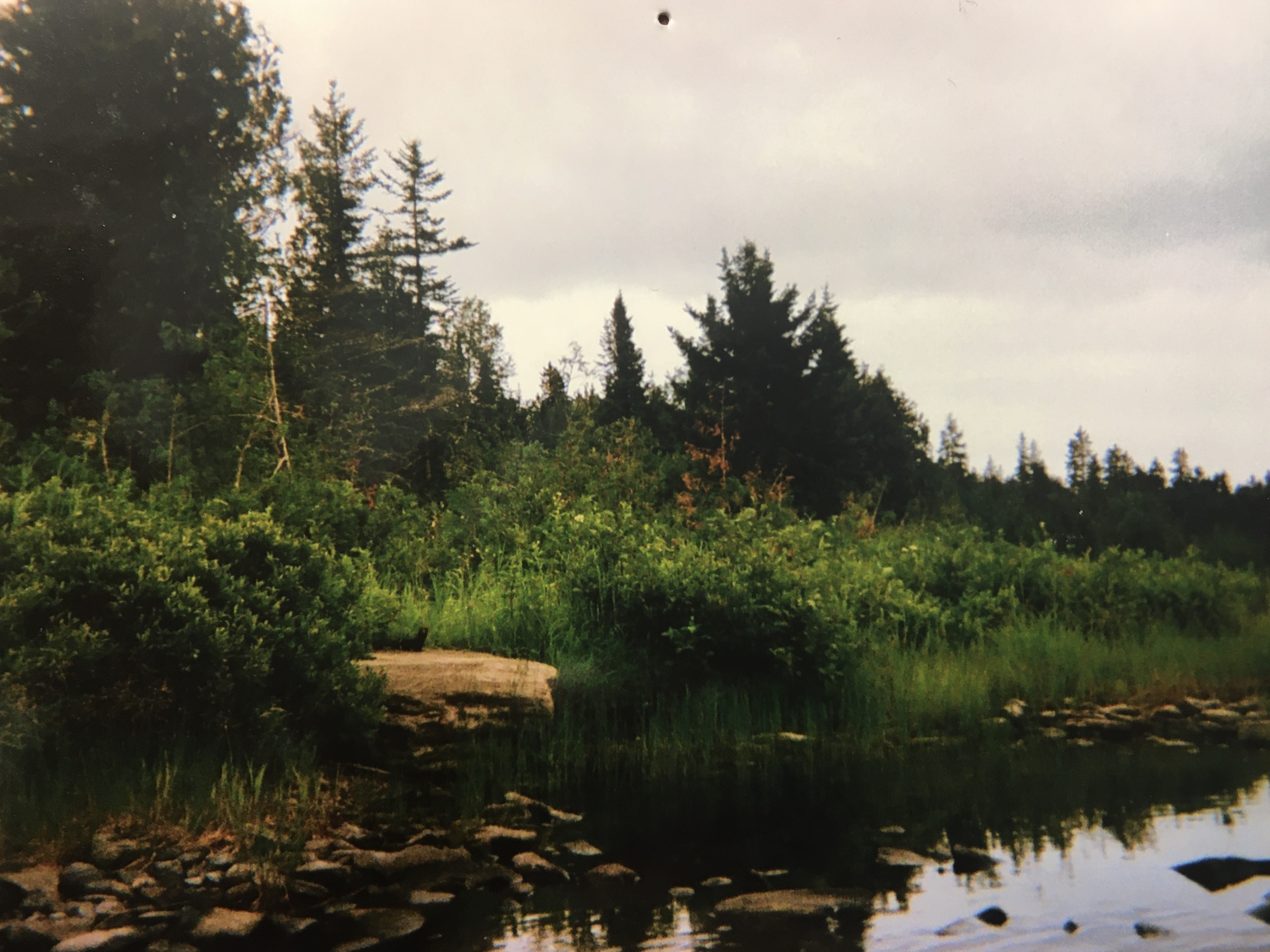 52ECB0D1-1563-4EDE-822B-E01C6B7F80A4