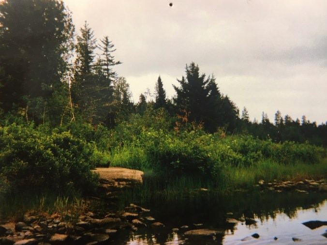 52ECB0D1-1563-4EDE-822B-E01C6B7F80A4